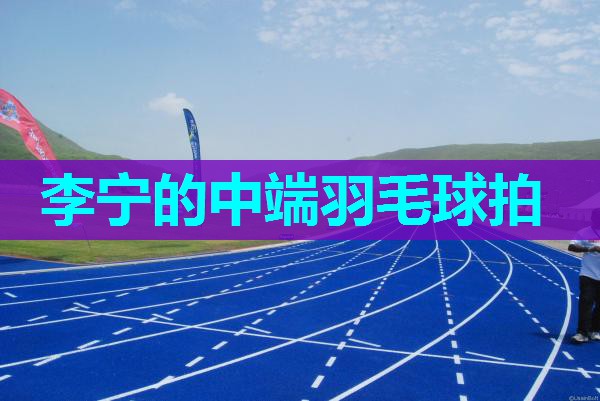李宁的中端羽毛球拍 李宁的中端羽毛球拍
