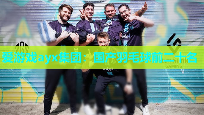 国产羽毛球前二十名 国产羽毛球前二十名