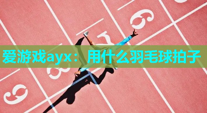 用什么羽毛球拍子 用什么羽毛球拍子