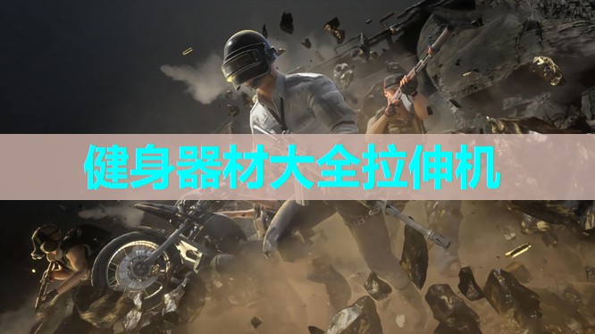 健身器材大全拉伸机 健身器材大全拉伸机