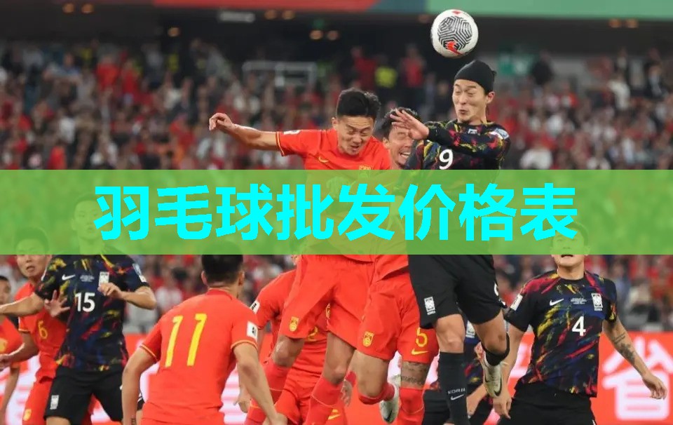 羽毛球批发价格表 羽毛球批发价格表