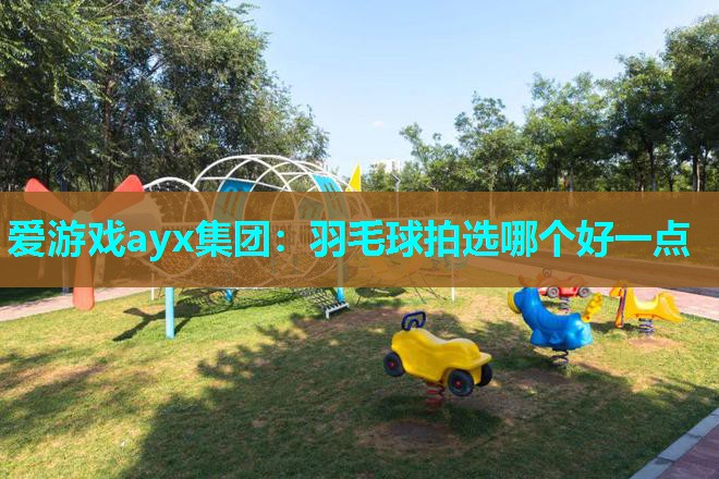 羽毛球拍选哪个好一点 羽毛球拍选哪个好一点