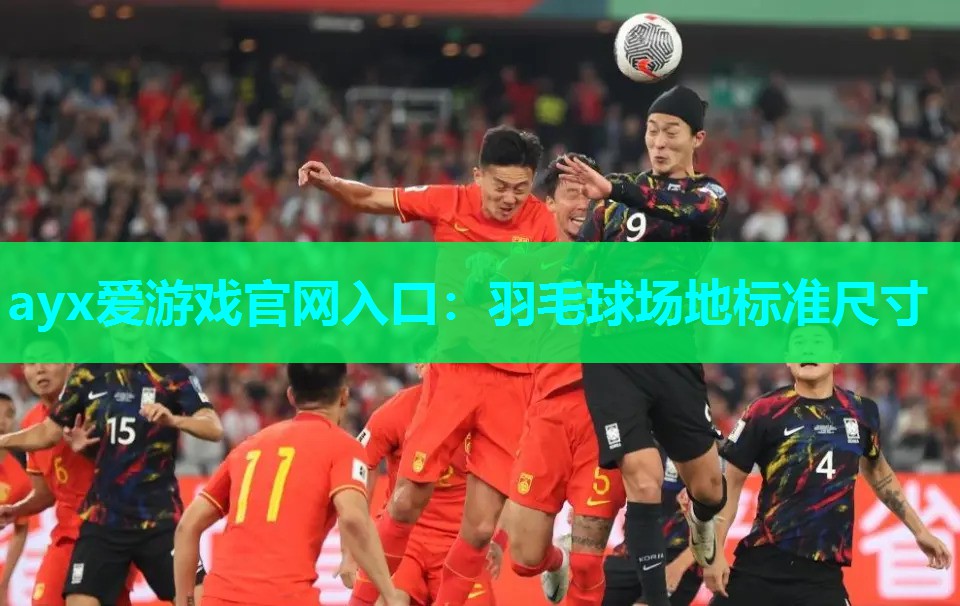 羽毛球场地标准尺寸 羽毛球场地标准尺寸
