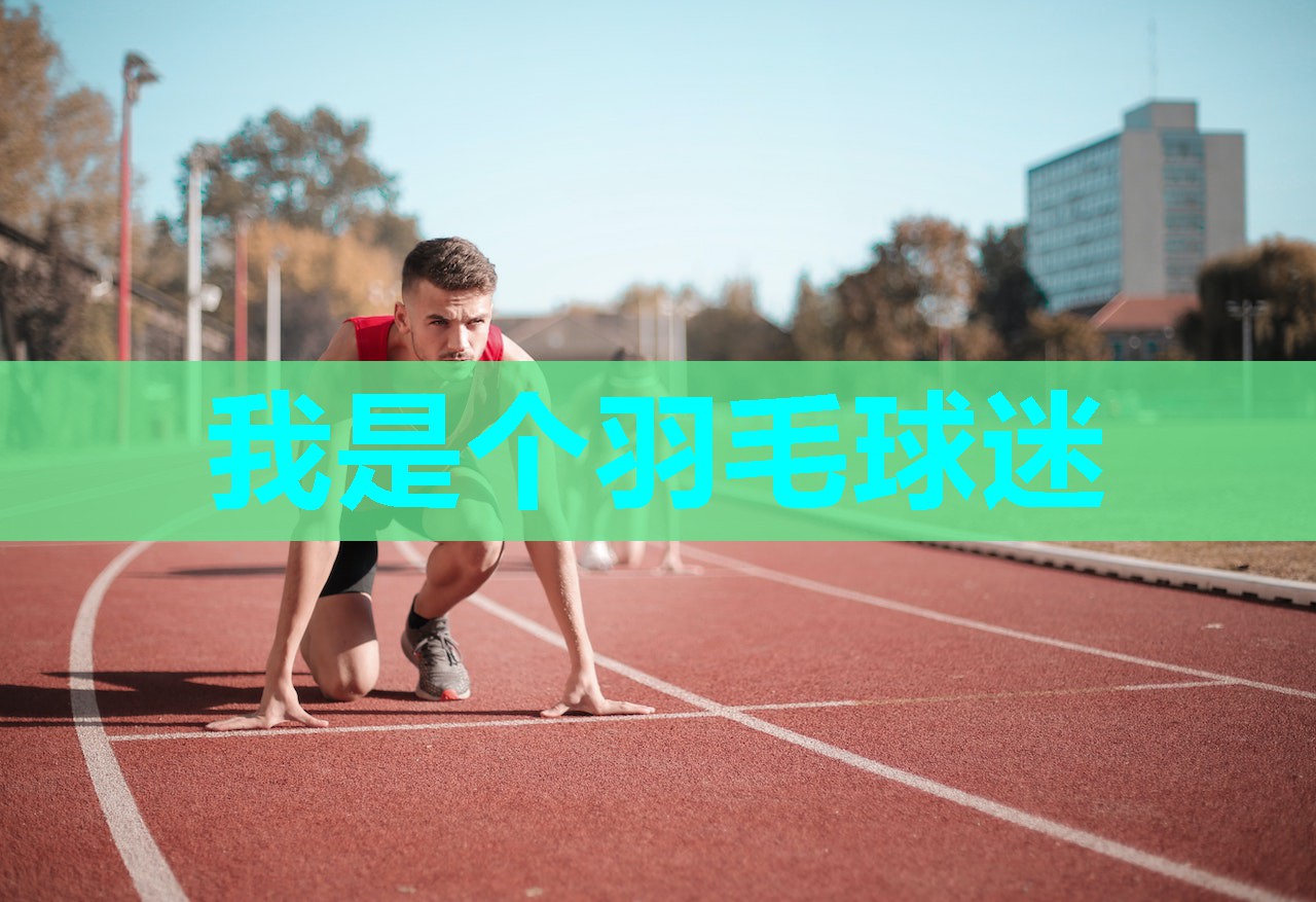 我是个羽毛球迷 我是个羽毛球迷