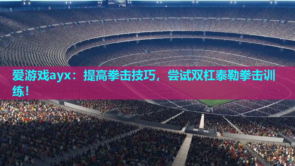 提高拳击技巧,尝试双杠泰勒拳击训练! 提高拳击技巧,尝试双杠泰勒拳击训练!