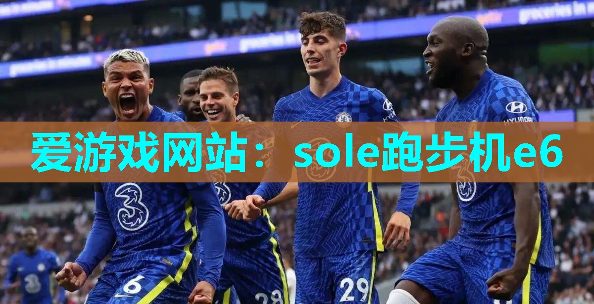 sole跑步机e6 sole跑步机e6