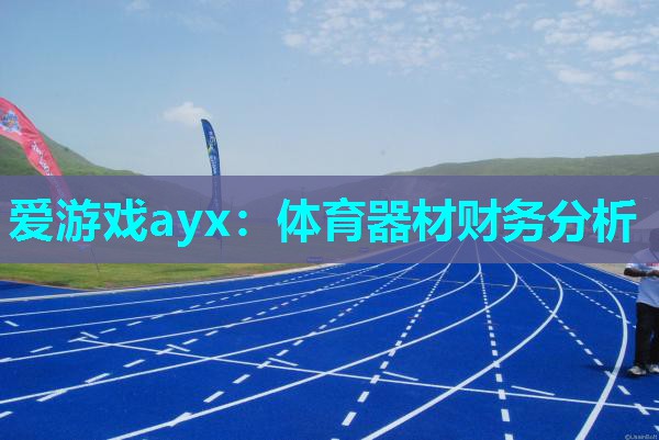 体育器材财务分析 体育器材财务分析