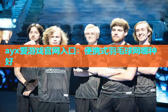 便携式羽毛球网哪种好 便携式羽毛球网哪种好
