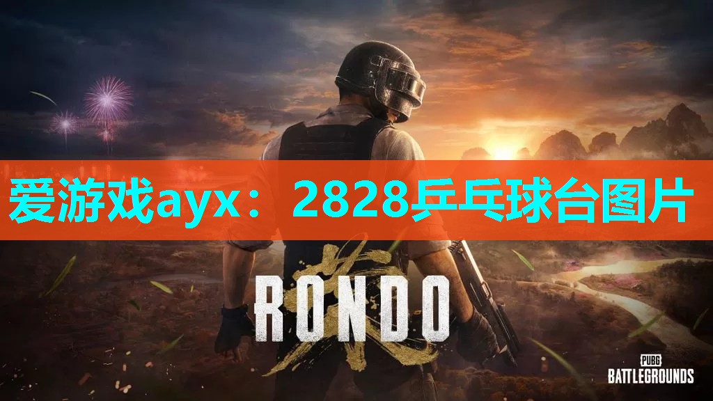 2828乒乓球台图片 2828乒乓球台图片