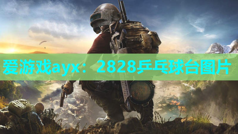 2828乒乓球台图片 2828乒乓球台图片