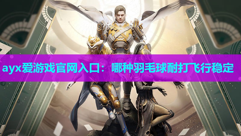 哪种羽毛球耐打飞行稳定 哪种羽毛球耐打飞行稳定