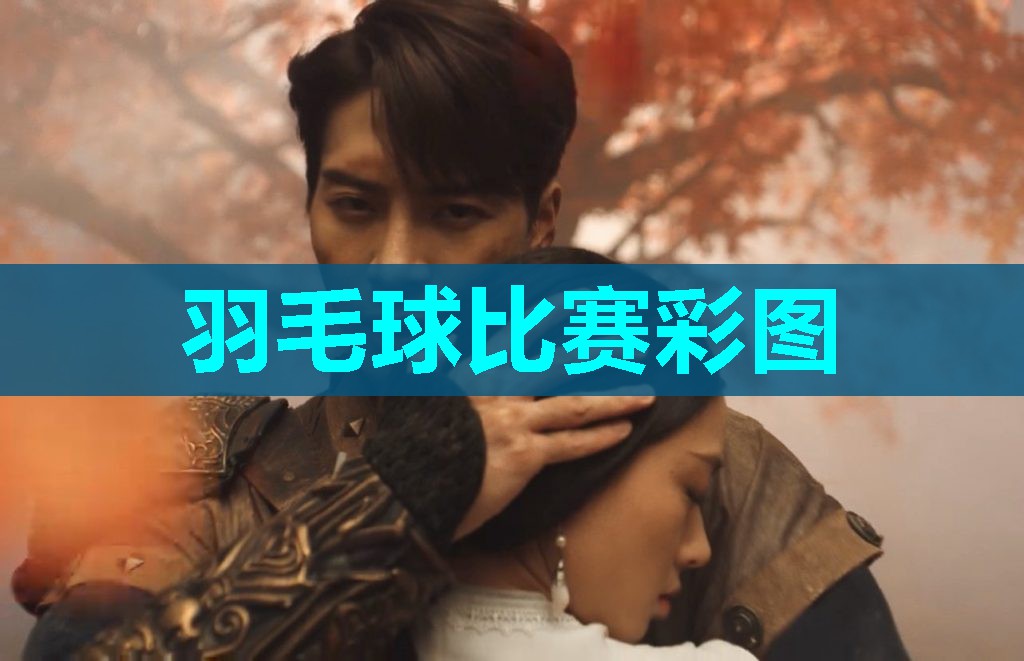 羽毛球比赛彩图 羽毛球比赛彩图