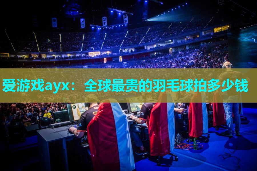 全球最贵的羽毛球拍多少钱 全球最贵的羽毛球拍多少钱
