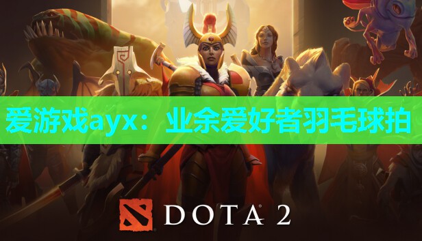 业余爱好者羽毛球拍 业余爱好者羽毛球拍