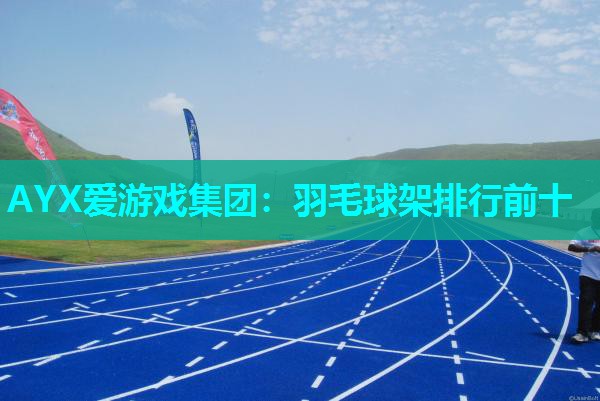 羽毛球架排行前十 羽毛球架排行前十