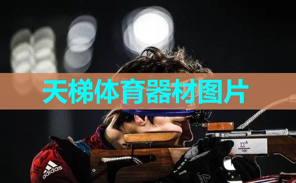 天梯体育器材图片 天梯体育器材图片