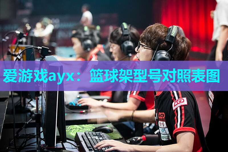 篮球架型号对照表图 篮球架型号对照表图
