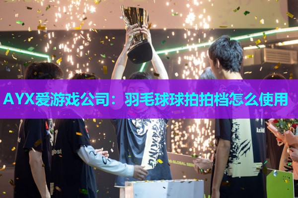 羽毛球球拍拍档怎么使用 羽毛球球拍拍档怎么使用